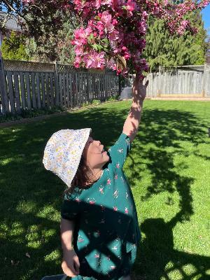 Perpetua Reaching for the Stars